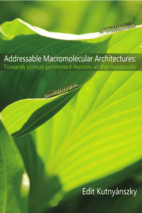 Edit Kutnyanszky thesis cover: Addressable Macromolecular Architectures
